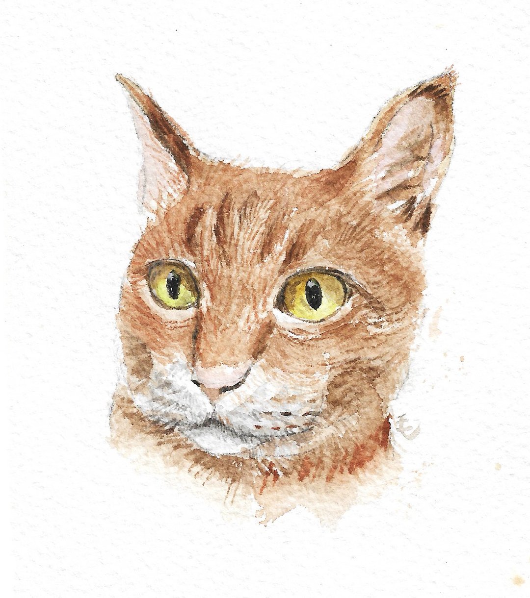 橘猫 水彩画 - 海报/装饰画/版画 - 纸 绿色