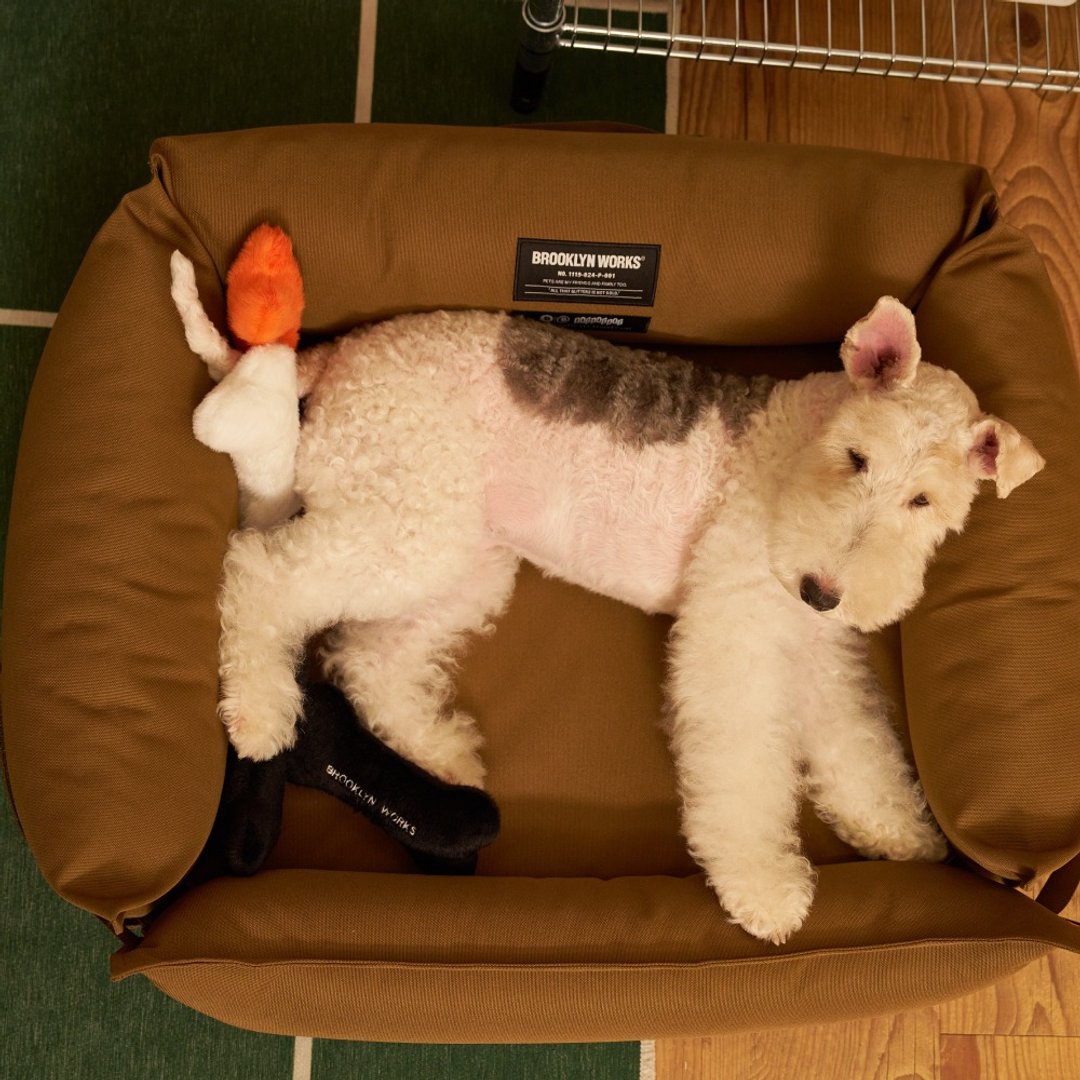 BROOKLYNWORKS Pet Toy 宠物垫 -两色任选 - 玩具 - 其他材质 多色