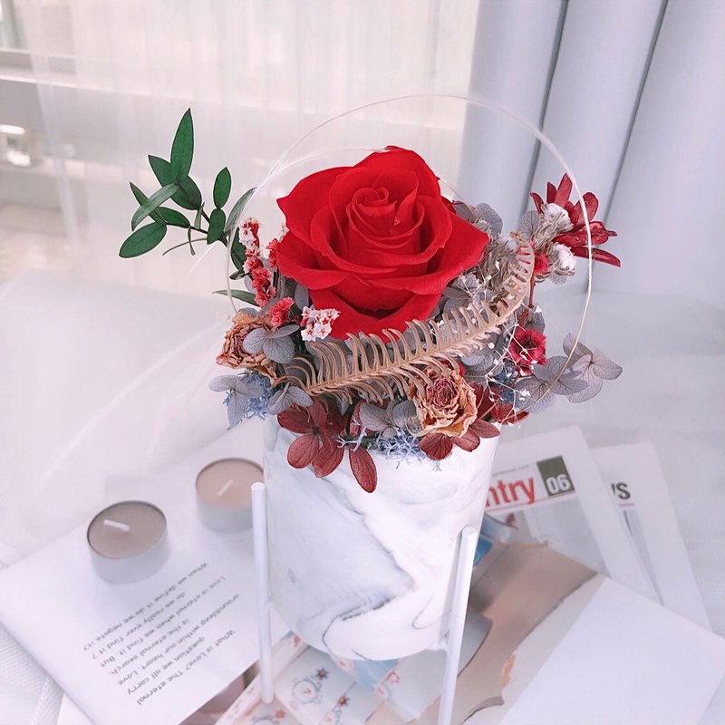 永生花高脚盆花 不凋花 干燥花 - 干燥花/捧花 - 植物．花 