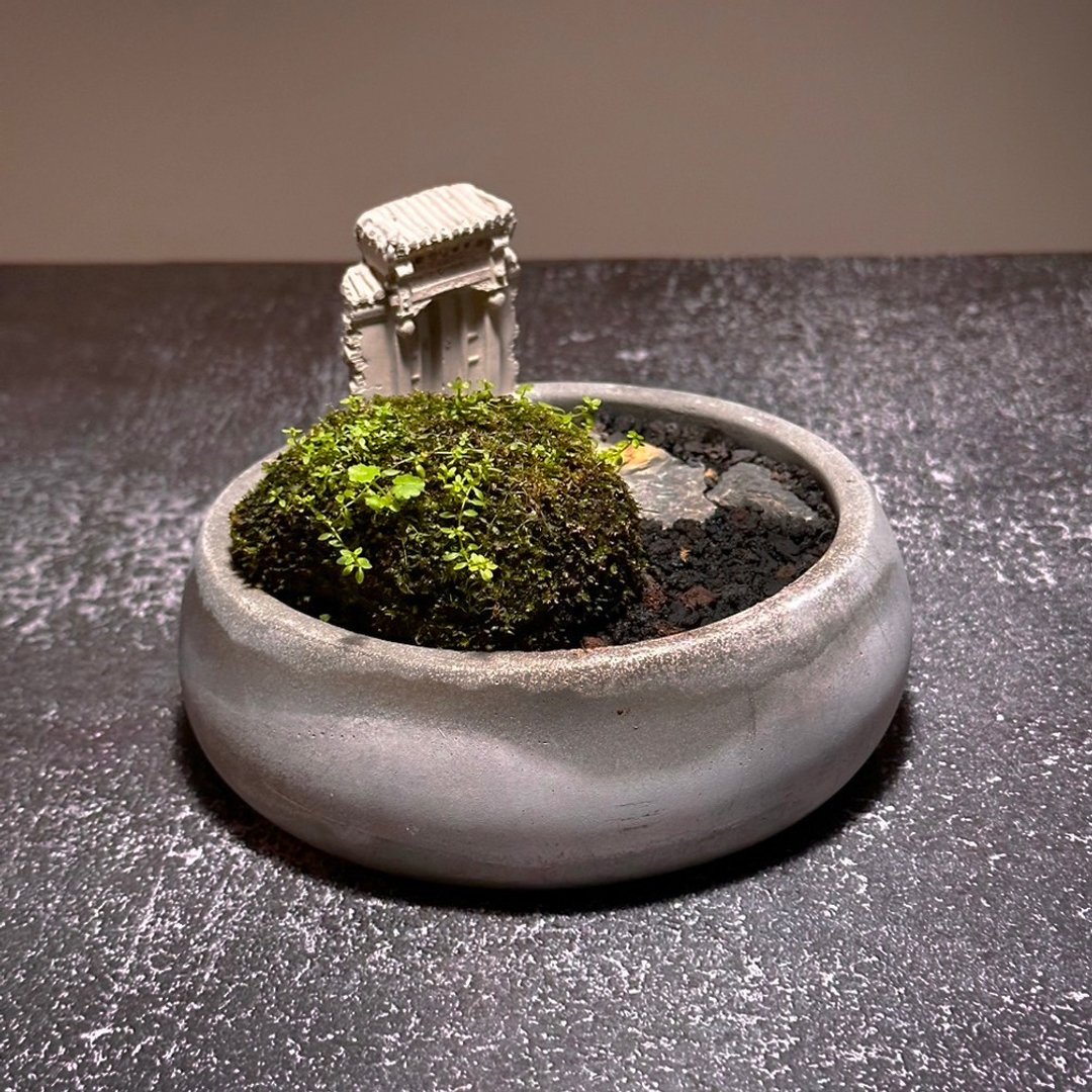 自然苔玉美学 –古厝 / 侘寂风 / 禅风 / 盆栽 / 摆饰 - 植栽/盆栽 - 植物．花 