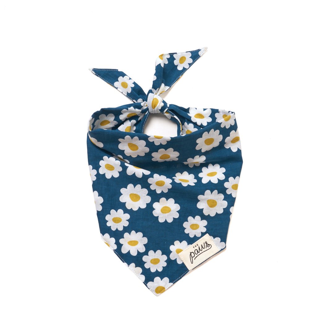 THE PAWS 手工宠物领巾 Urban Daisies 城市小雏菊 - 项圈/牵绳 - 棉 蓝色