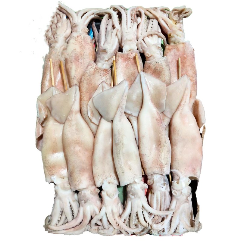 【合乔飨鲜】阿根廷鱿鱼串2L 72只/件出/各规格欢迎店家批发询价 - 其他 - 新鲜食材 