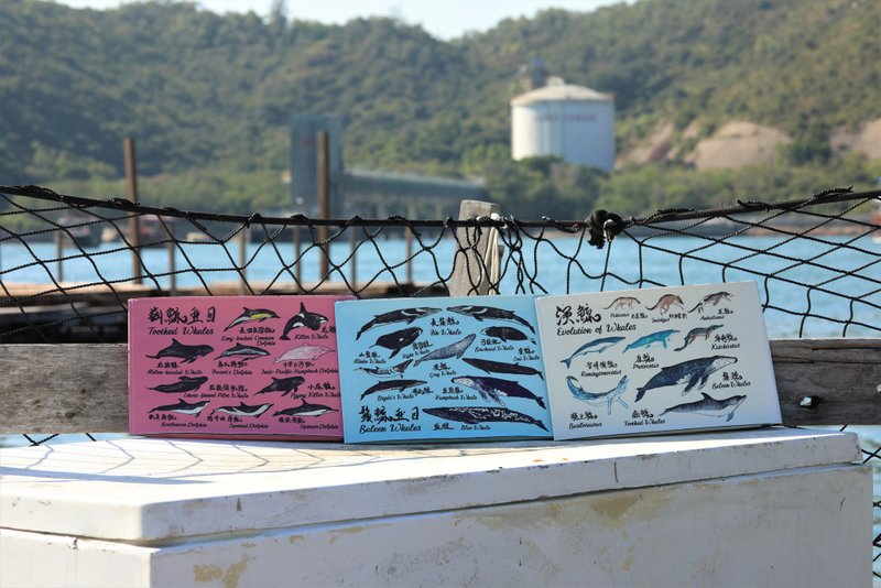 【鲸系设计】 Switch iPad Macbook 电脑保护套 收纳 - 电脑配件 - 环保材料 