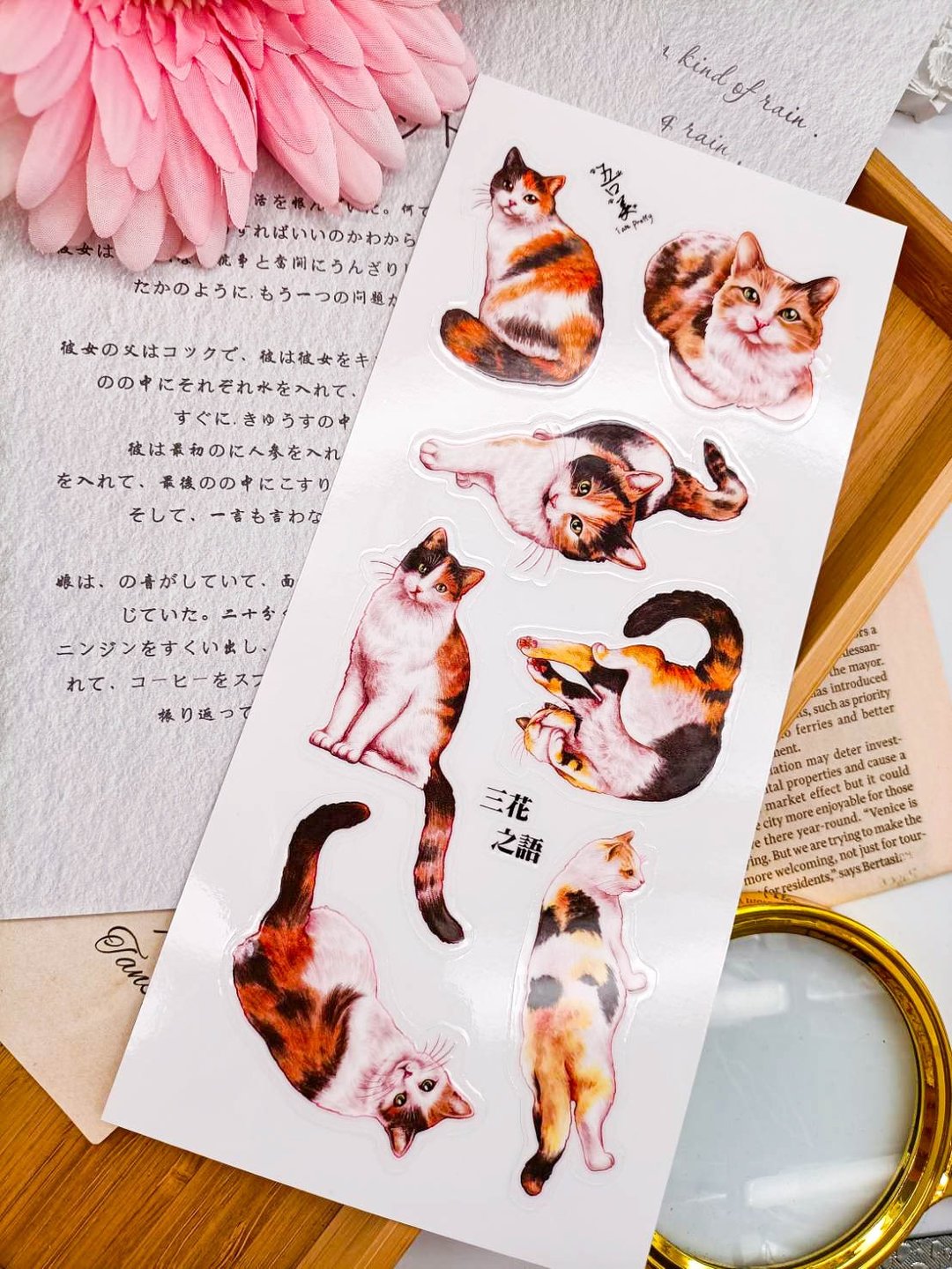 5K057_五口美 _三花之語 _ Calico Cat A/轉印貼紙 - 贴纸 - 其他材质 多色
