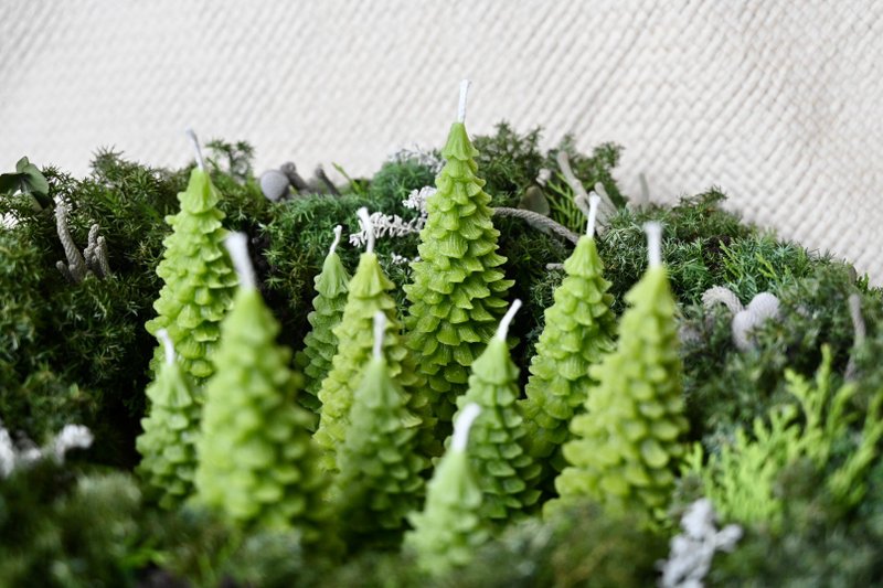 梦幻森林-绿意盎然 - 蜡烛/烛台 - 蜡 绿色