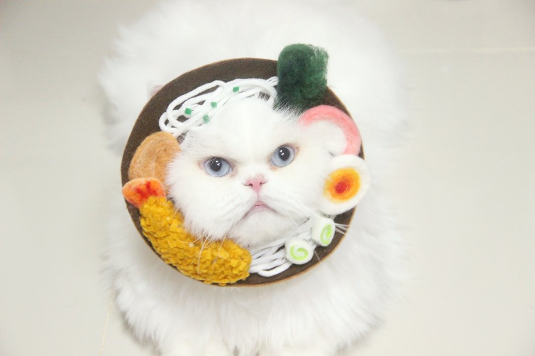 Wool Felt Ramen Noodle Pet Costume - 衣/帽 - 羊毛 