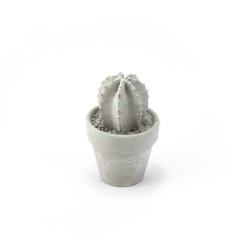 Cement Succulent Decoration - 免浇水泥多肉盆栽-仙人掌 - 摆饰 - 水泥 灰色