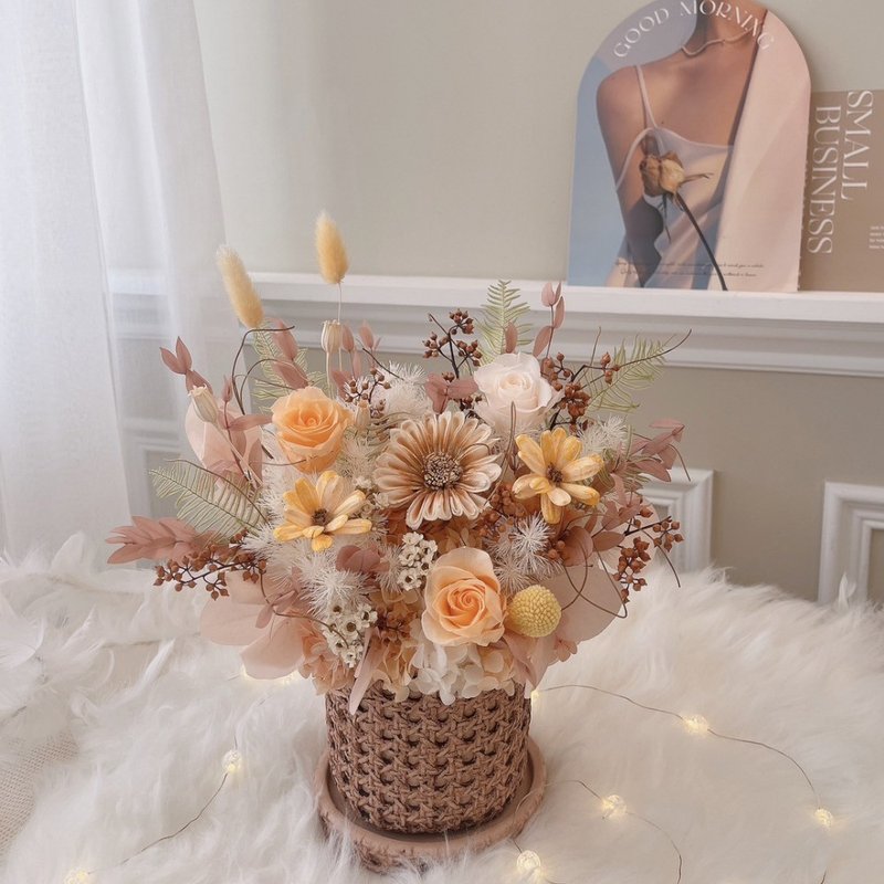 假期的午后阳光 永生盆花 永生玫瑰花 开幕花礼 乔迁贺礼 橘色系 - 干燥花/捧花 - 植物．花 橘色