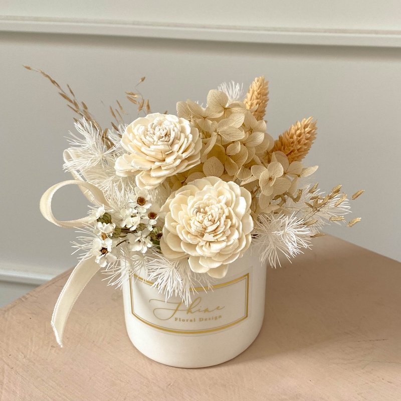 奶油杏 永生扩香盆花 ( 白 ) - 干燥花/捧花 - 植物．花 白色