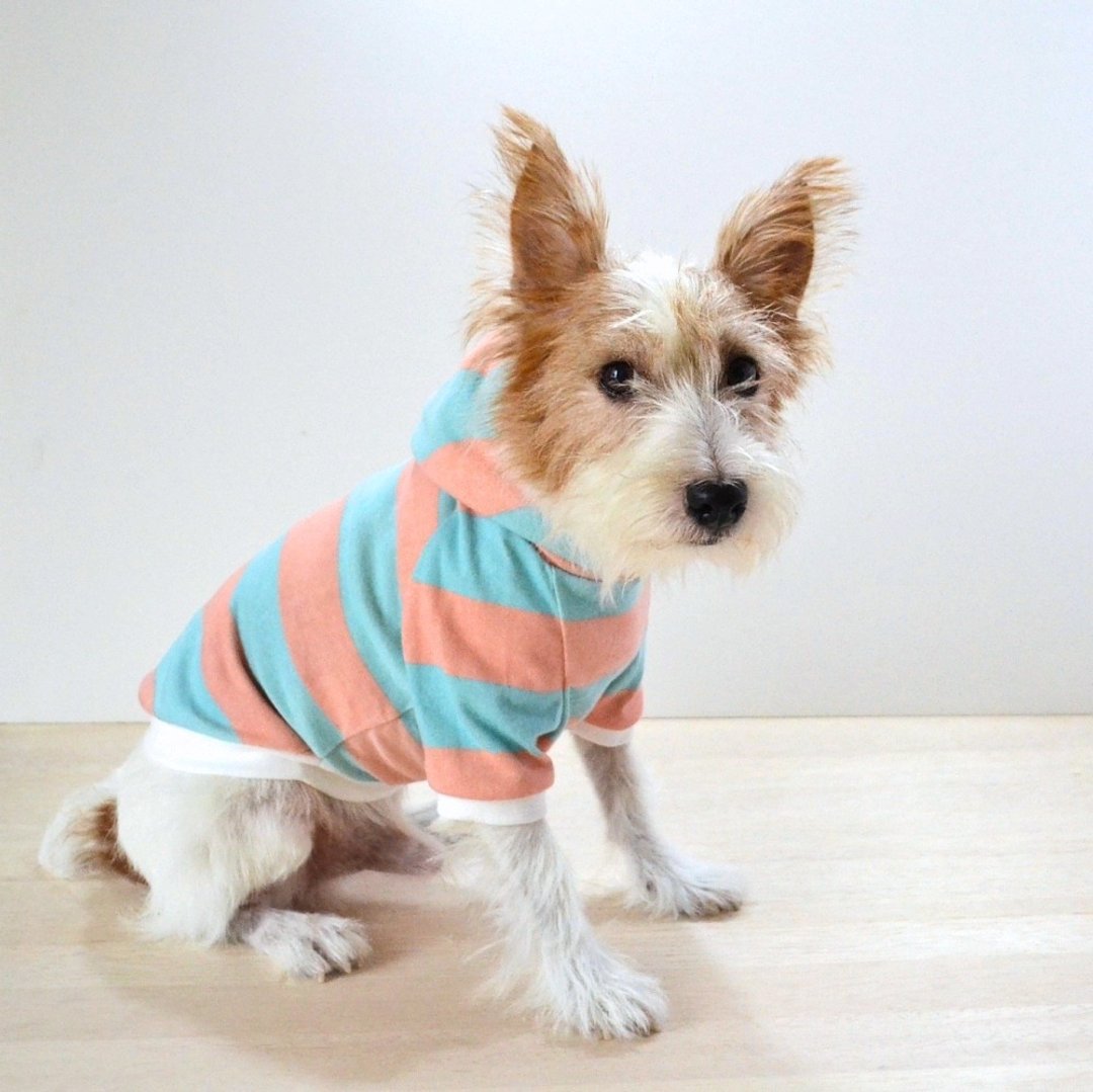 Dog Clothes Raglan Hoodie / Macaron  S - 衣/帽 - 棉 粉红色