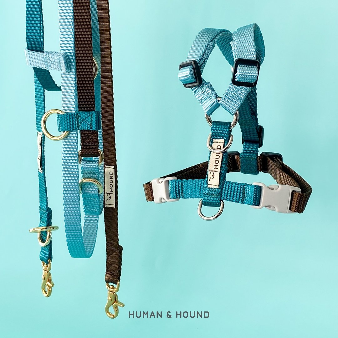 Multifunctional Leash - The Chocolate Mint - 项圈/牵绳 - 其他材质 多色