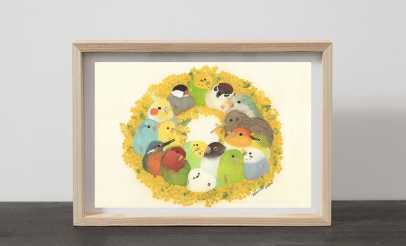 A4 含羞草花环插画海报 : 水彩风景画 虎皮鹦鹉 小鸟 野鸟 - 海报/装饰画/版画 - 纸 黄色