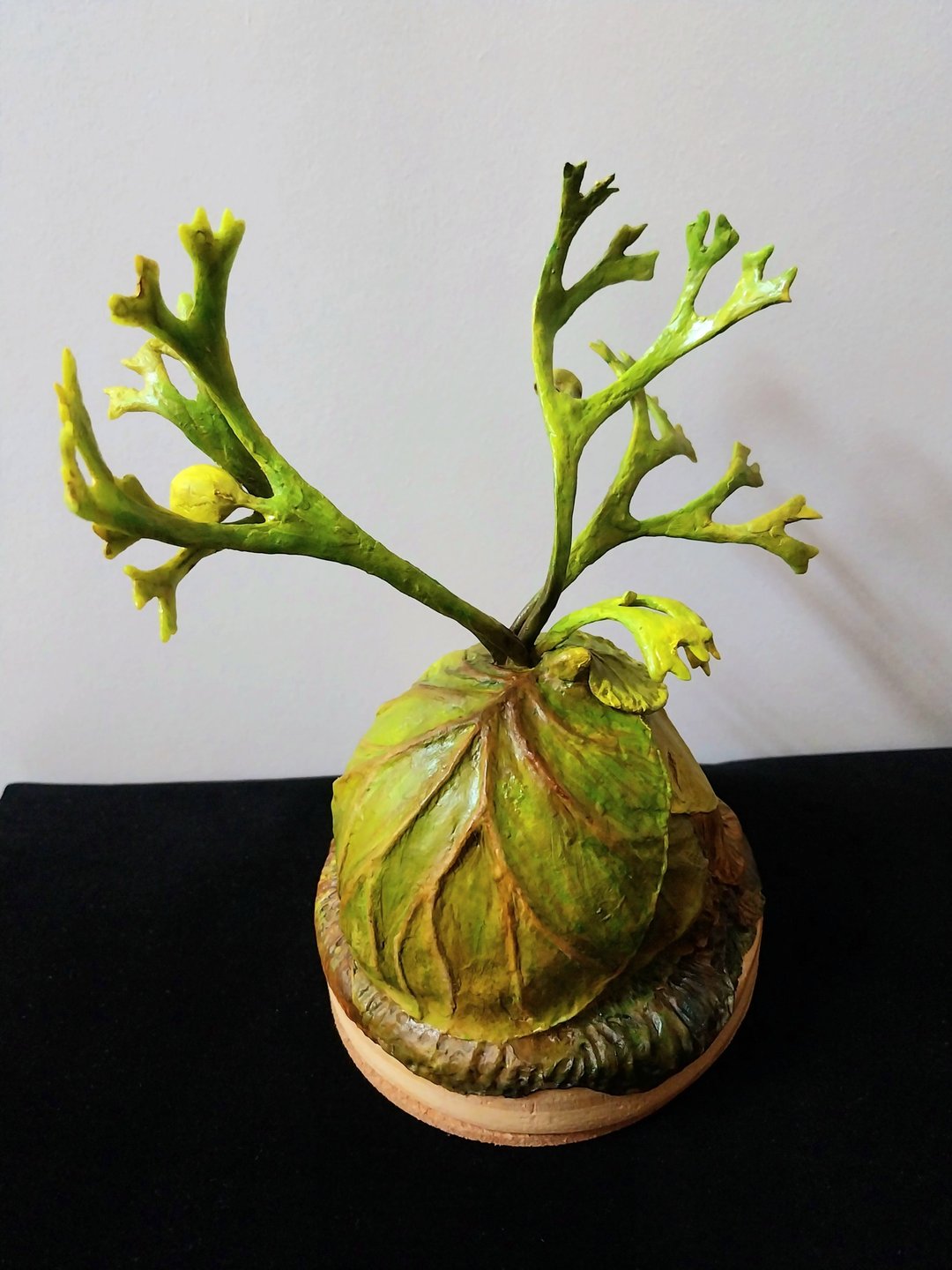 鹿角蕨小雕塑 - 中型模型摆饰-亚猴-E - 摆饰 - 其他材质 