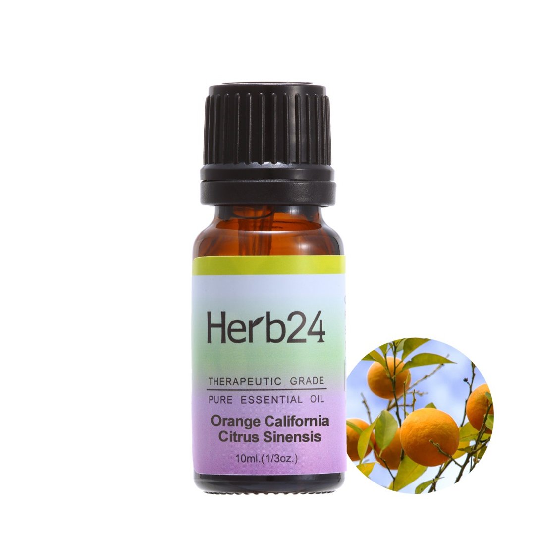 Herb24 加州橙 纯质精油 10ml - 香薰/精油/线香 - 其他材质 