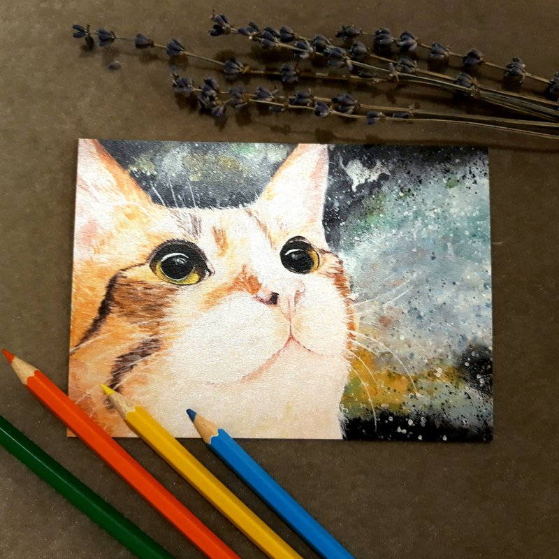 宇宙猫星人-橘子 - 卡片/明信片 - 纸 橘色