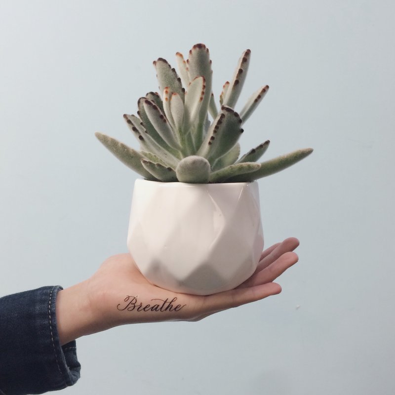 cottontatt Breathe 手写书法 纹身贴纸 - 纹身贴 - 其他材质 黑色