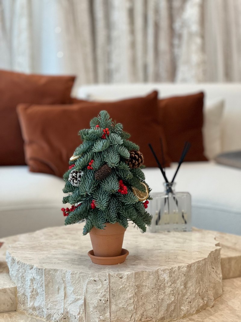 【手工制】新鲜贵族松迷你圣诞树 (height: 30cm) - 摆饰 - 植物．花 多色