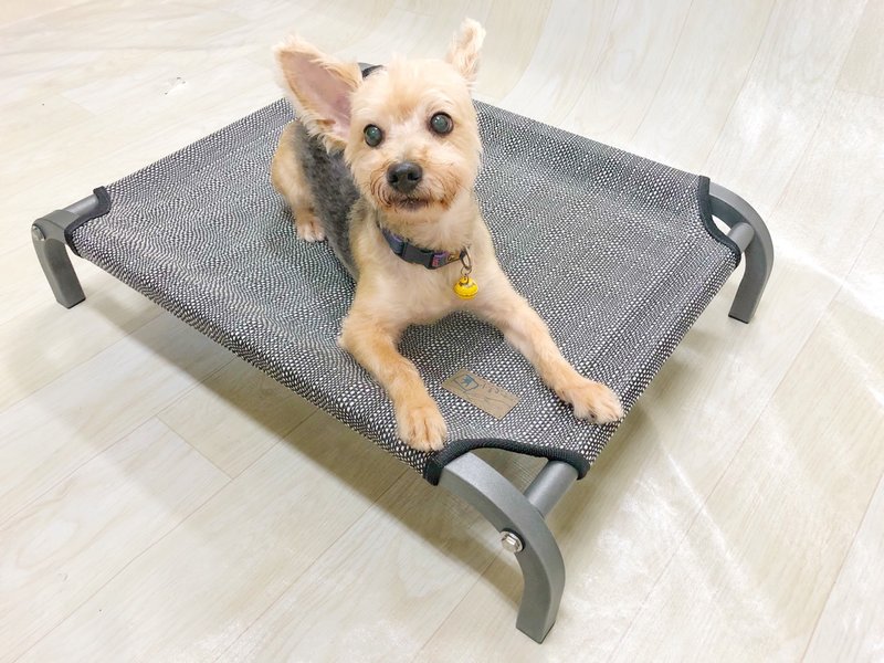 新品上市S-小王子的飞行床-冰晶灰床架-刚果黑 长70X宽50X高15CM - 床垫/笼子 - 环保材料 