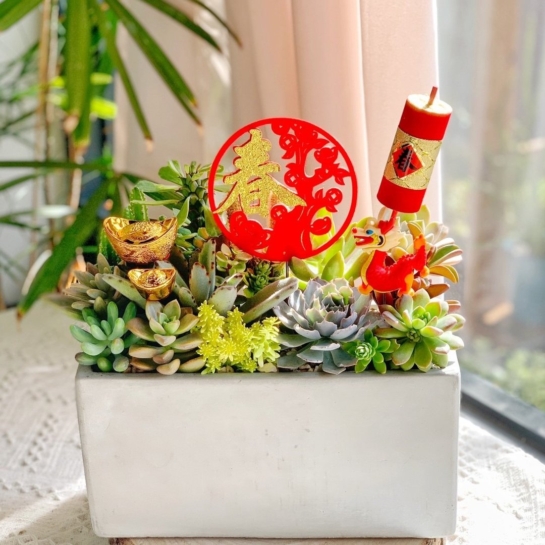 【新春/开幕贺礼】水泥多肉组盆-长方形(新春)款.新居落成.升官 - 植栽/盆栽 - 植物．花 绿色