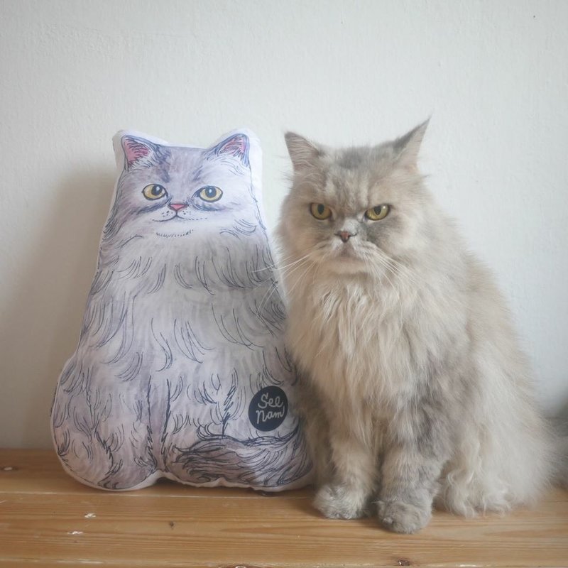 特别宠物枕头给你 - 玩偶/公仔 - 聚酯纤维 多色