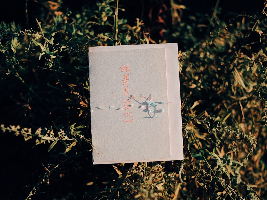 我甚是爱您 老派心意卡片 - 卡片/明信片 - 纸 