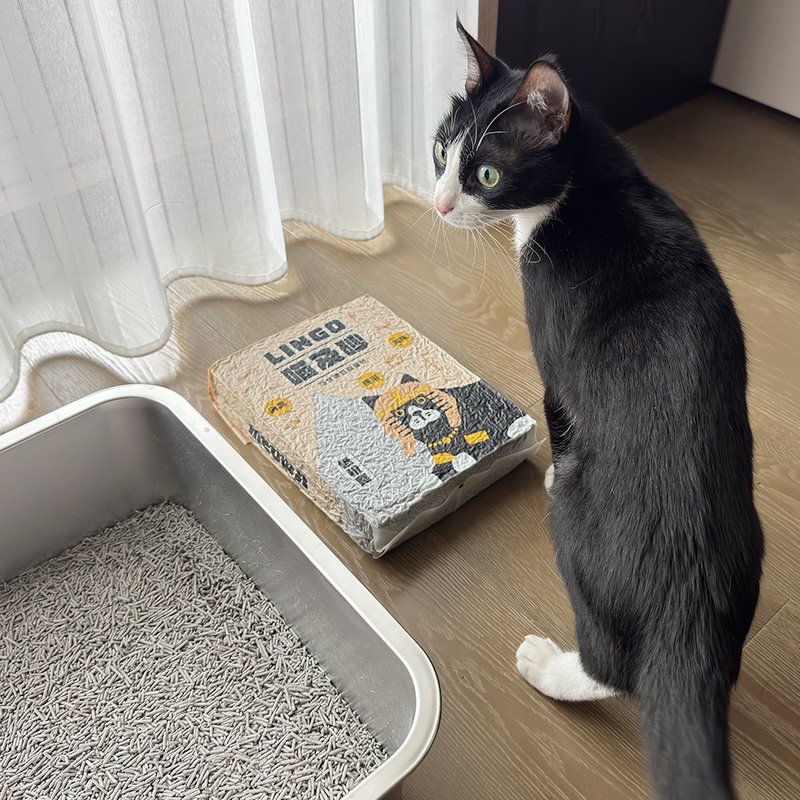 喵及砂【LINGO 活性炭豆腐砂】2.5公斤 / 7L - 猫砂/猫砂垫 - 其他材质 灰色
