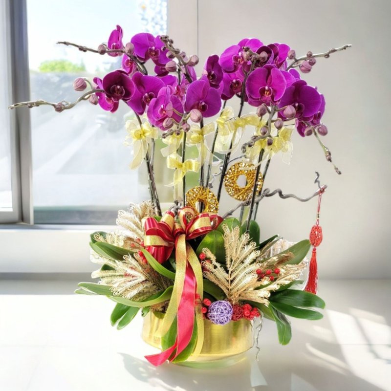 格兰花店 - 大辣椒蝴蝶兰10棵配喜庆挂饰 (GF00310) - 植栽/盆栽 - 植物．花 