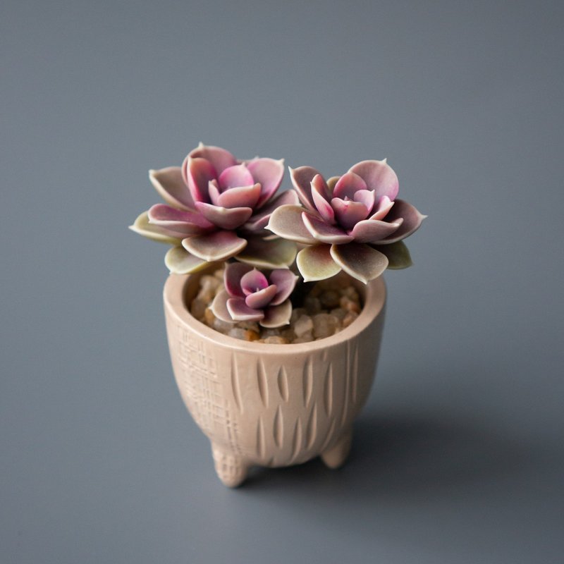 带有粉红色 Echeveria PVN 的微型珠宝盒 - 收纳用品 - 其他材质 