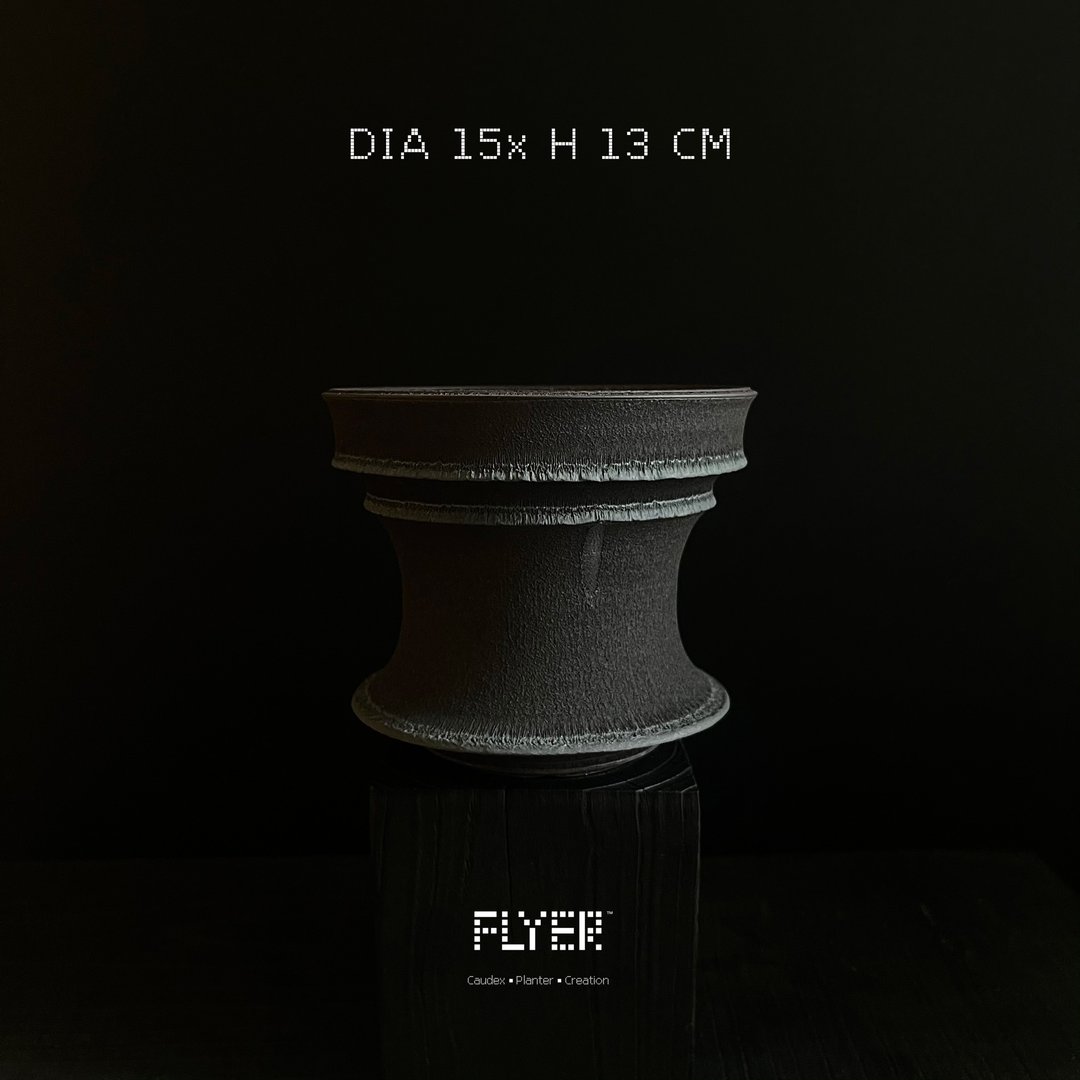FLYER 块根多肉植物陶盆器 龙舌兰象牙宫象足漆树盆器 - 花瓶/陶器 - 陶 