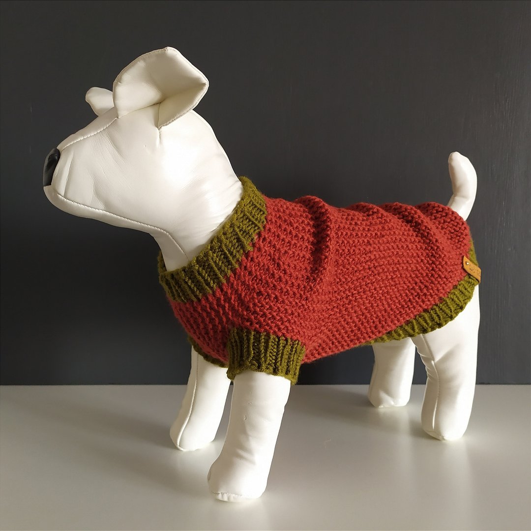 Bright warm hand-knitted dog sweater - 衣/帽 - 其他材质 多色