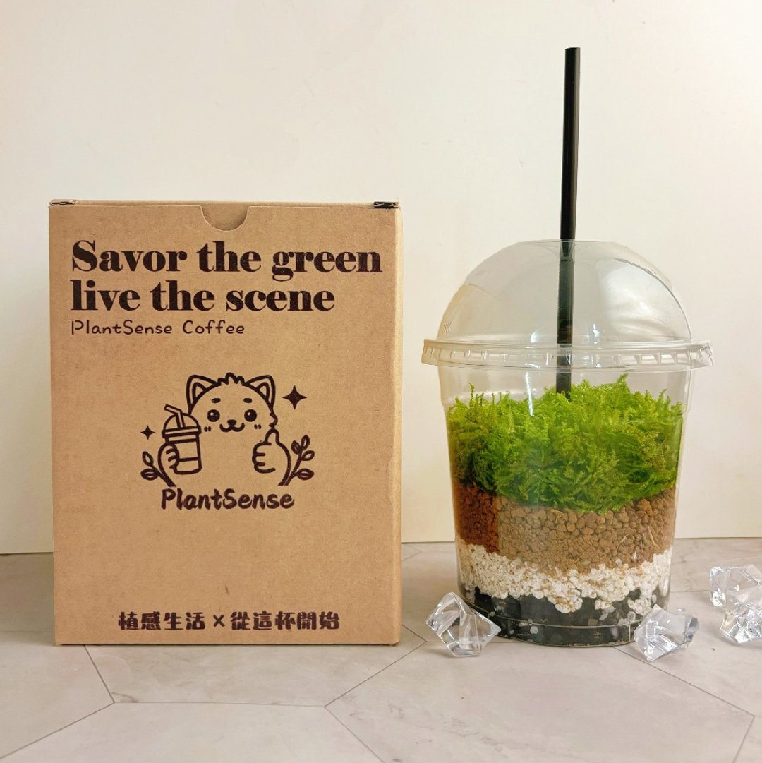 绿色拿铁 | 给生活一点森呼吸 植物 苔藓 植栽 绿植 摆饰 - 植栽/盆栽 - 其他材质 绿色