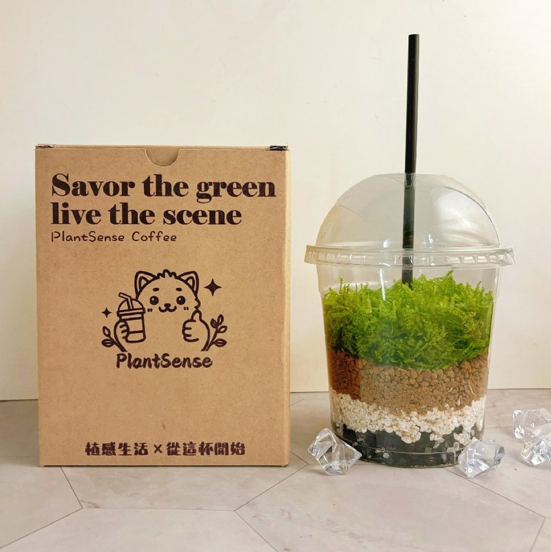 绿色拿铁 | 给生活一点森呼吸 植物 苔藓 植栽 绿植 摆饰 - 植栽/盆栽 - 其他材质 绿色