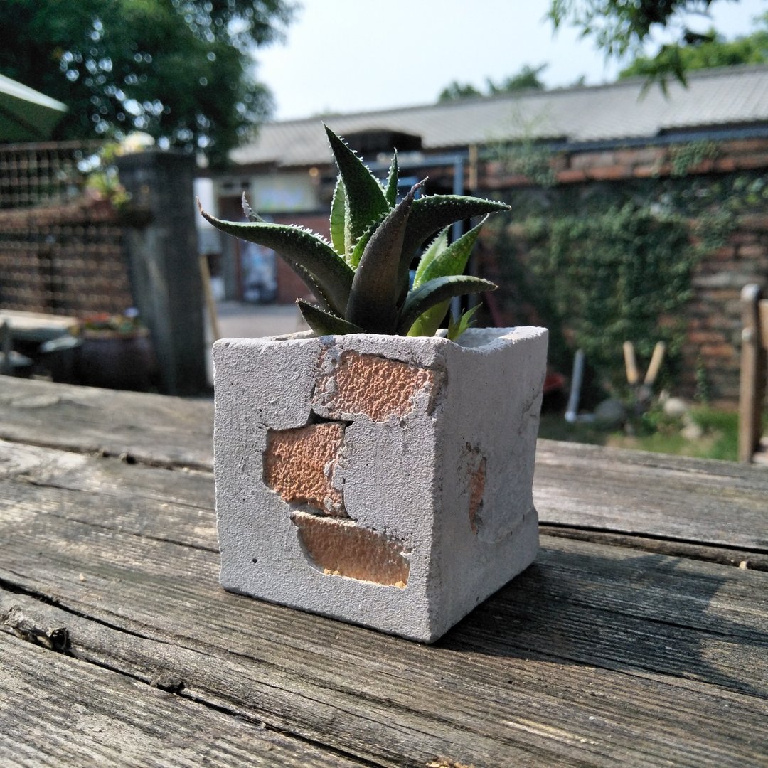 水泥盆-岁月 - 植栽/盆栽 - 水泥 灰色