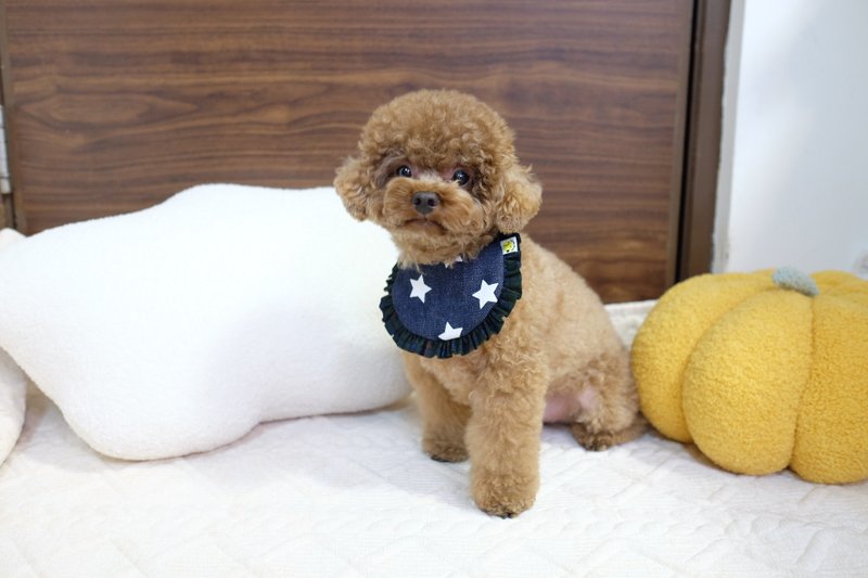 牛仔星星 双面花边口水坚 - 项圈/牵绳 - 棉．麻 