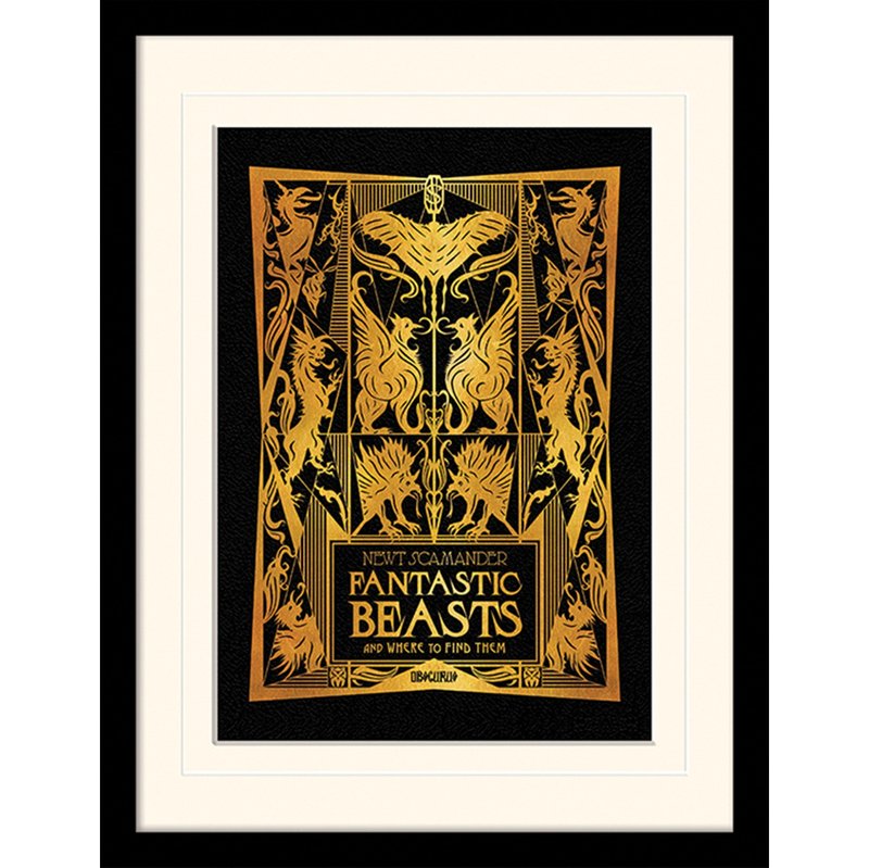 【怪兽与它们的产地】原书封面 45*35cm 已上卡纸含框 - 海报/装饰画/版画 - 纸 金色