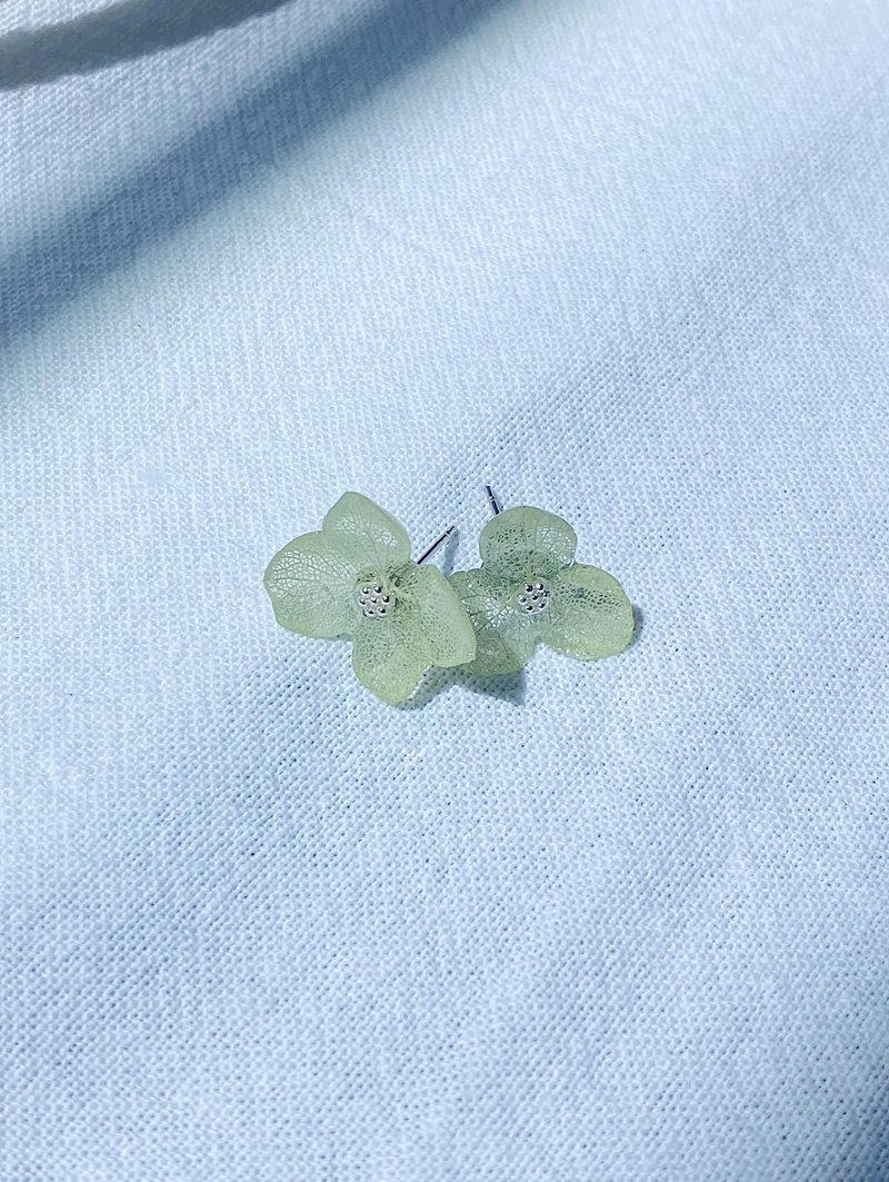 真花耳环-Love Earrings- Ice Green - 耳环/耳夹 - 植物．花 绿色