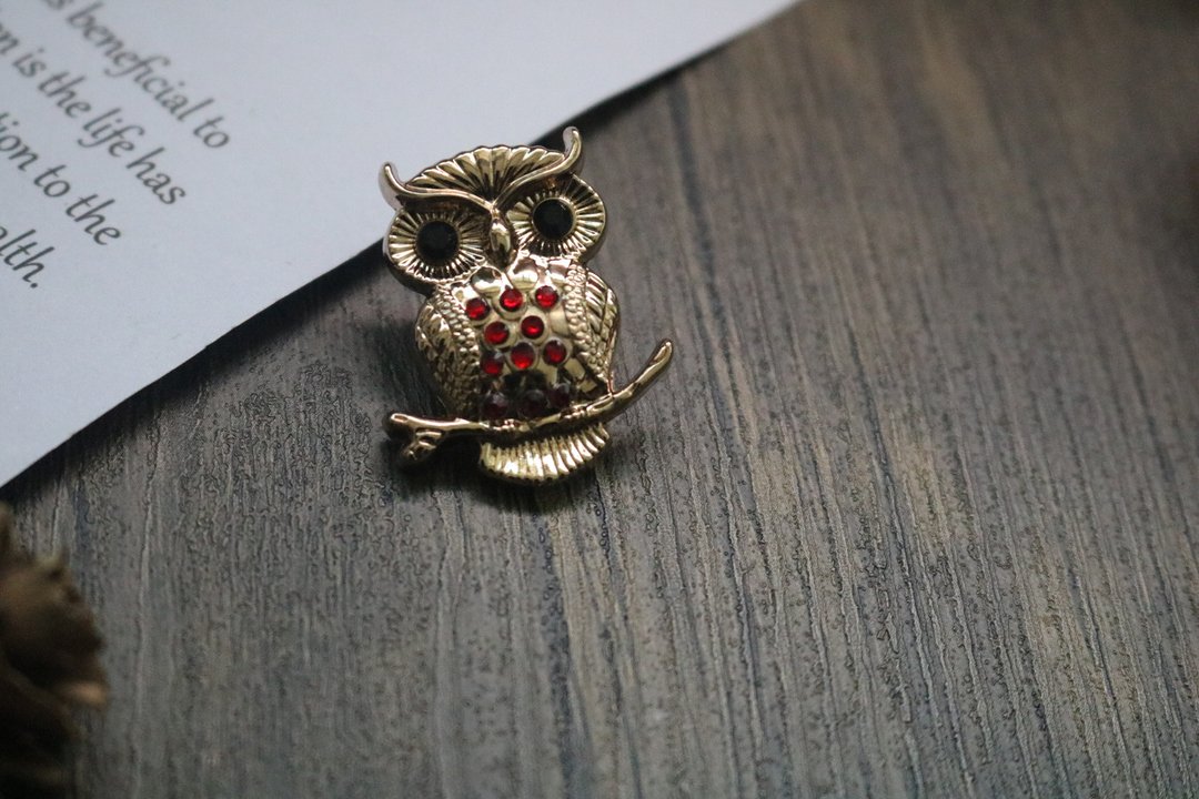金屬帶鑽貓頭鷹復古胸針/輕奢男女通用胸花 - 胸针 - 其他金属 金色