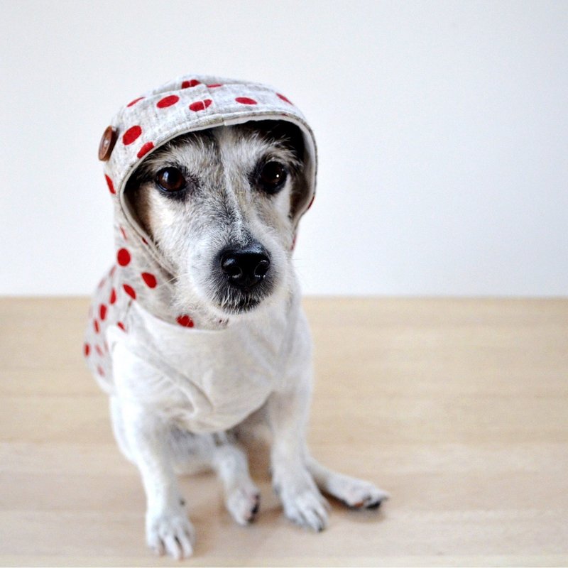 Anti-Mosquito Dog Clothes "Polka Dots Red" M - 衣/帽 - 棉．麻 红色