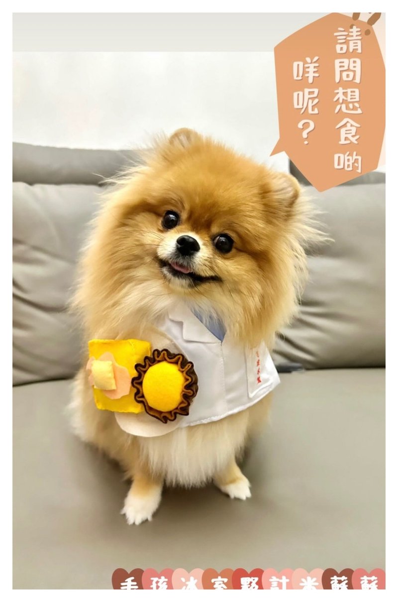 宠物茶餐厅 - 衣/帽 - 其他材质 多色