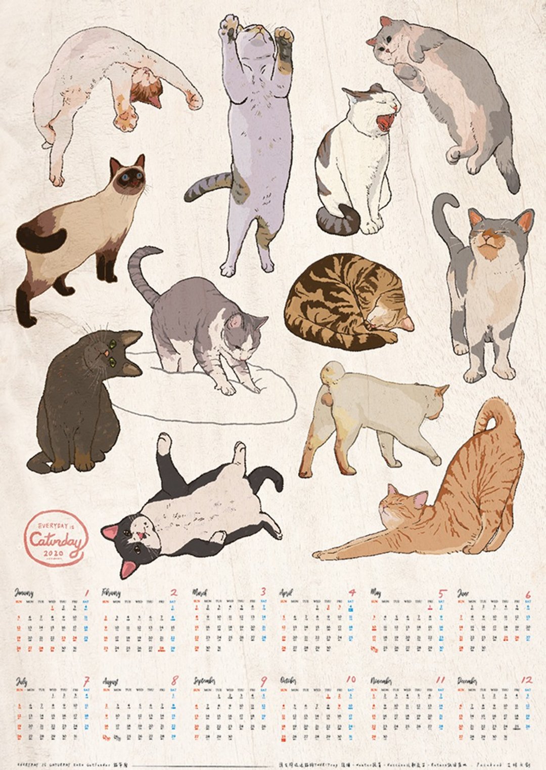 2020 Catlendar 猫年历 - 年历/台历 - 纸 
