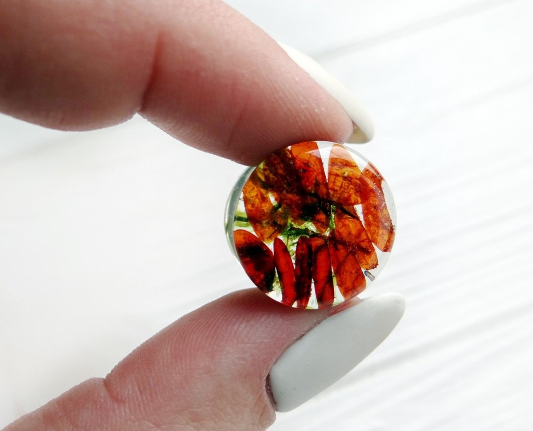 Baltic Amber plugs earrings 00g ear gauges jewelry Witch August birthstone - 耳环/耳夹 - 石头 红色