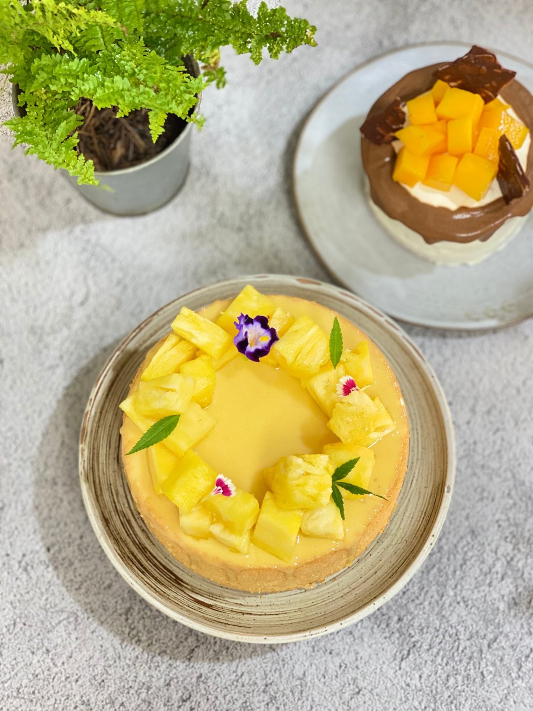 Tuxedo Cat Handmade　塔西躲猫猫 -百香果凤梨戚风蛋糕 - 蛋糕/甜点 - 新鲜食材 