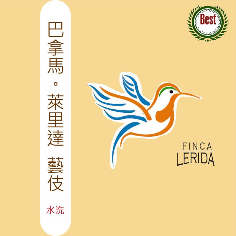 TreesWind 巴拿马 莱里达 艺伎 滤挂咖啡 - 咖啡 - 其他材质 