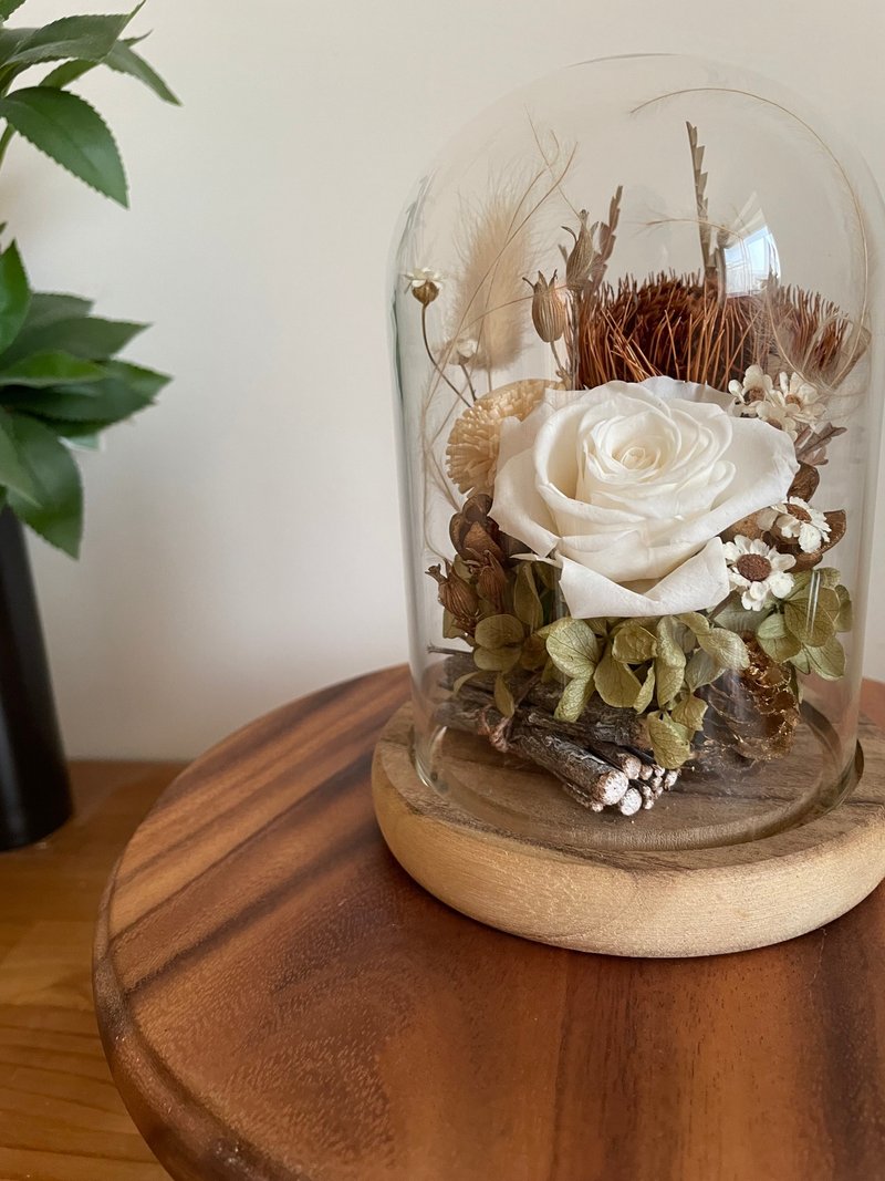 永生玻璃盅 白玫瑰 干燥花 木质调 金色圣诞 附礼盒 - 干燥花/捧花 - 植物．花 咖啡色