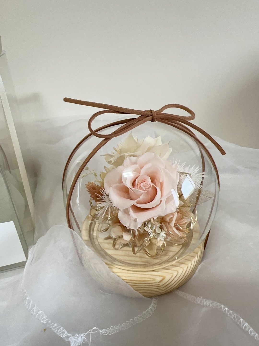 粉红维纳斯 永生玫瑰玻璃盅 永生花钟罩 生日 告白 纪念日 圣诞节 - 干燥花/捧花 - 植物．花 粉红色
