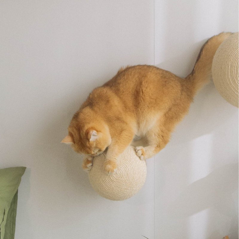 Caturn喵王星 N18 - 抓板/跳台 - 木头 多色