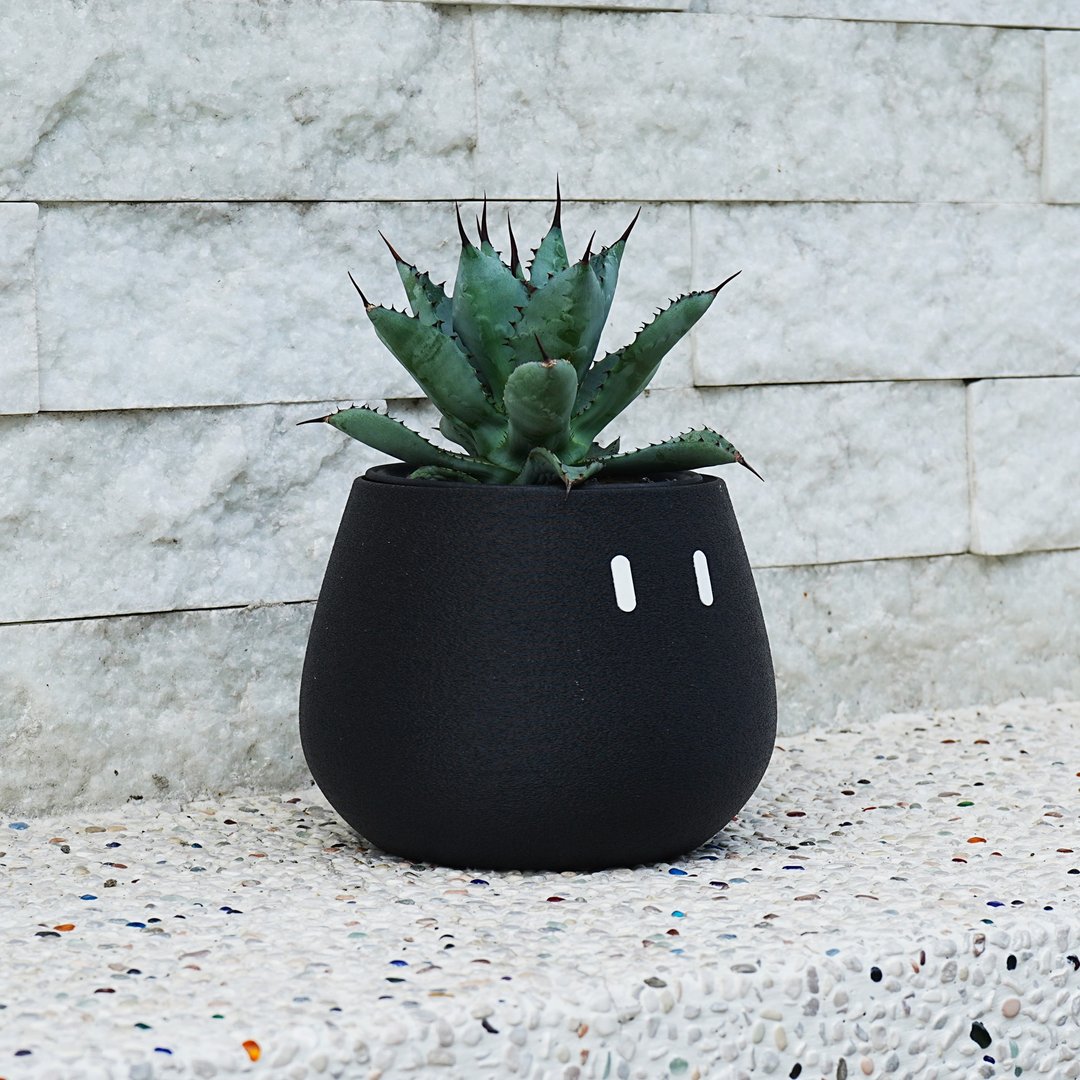 Medium_EMOO/盆栽/室内植物/多肉植物/盆器/交换礼物/圣诞礼物 - 植栽/盆栽 - 塑料 