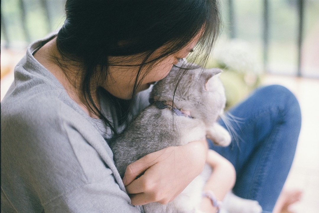 宠物定制定制化猫猫吊牌手工编织项链项圈 - 项圈/牵绳 - 其他金属 