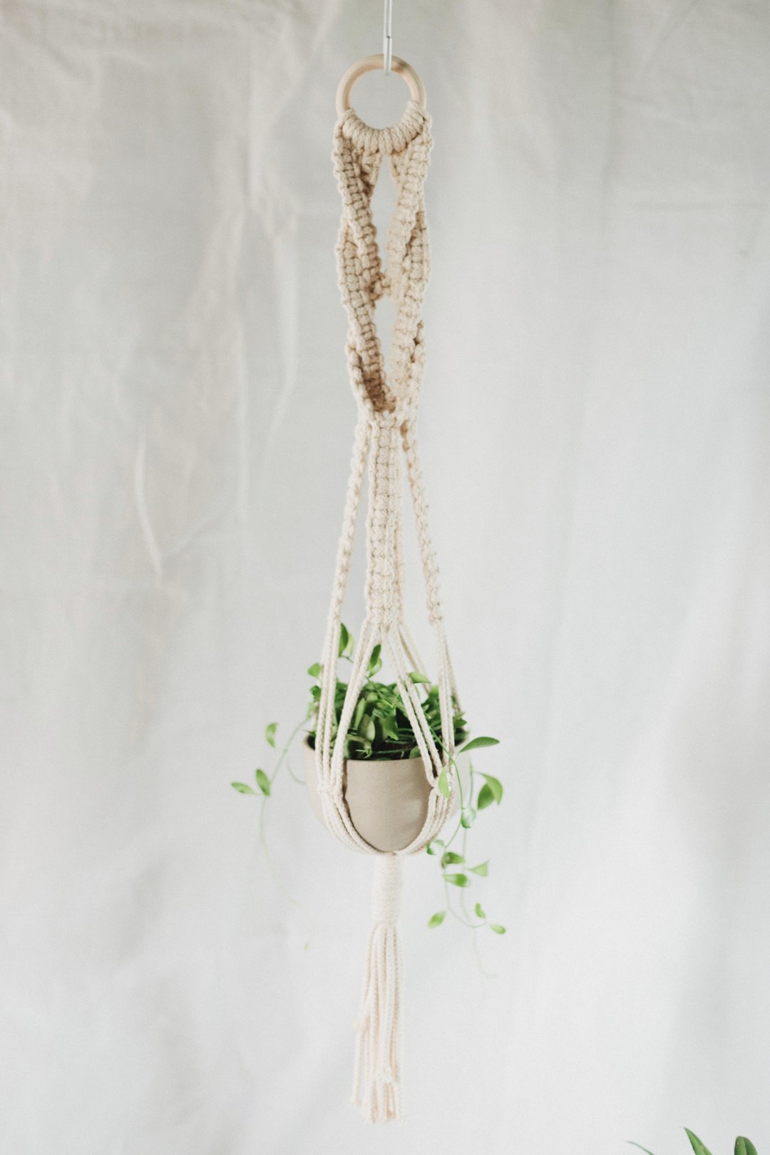 Macrame Plant Hanger / Braid knots - 植栽/盆栽 - 棉 白色