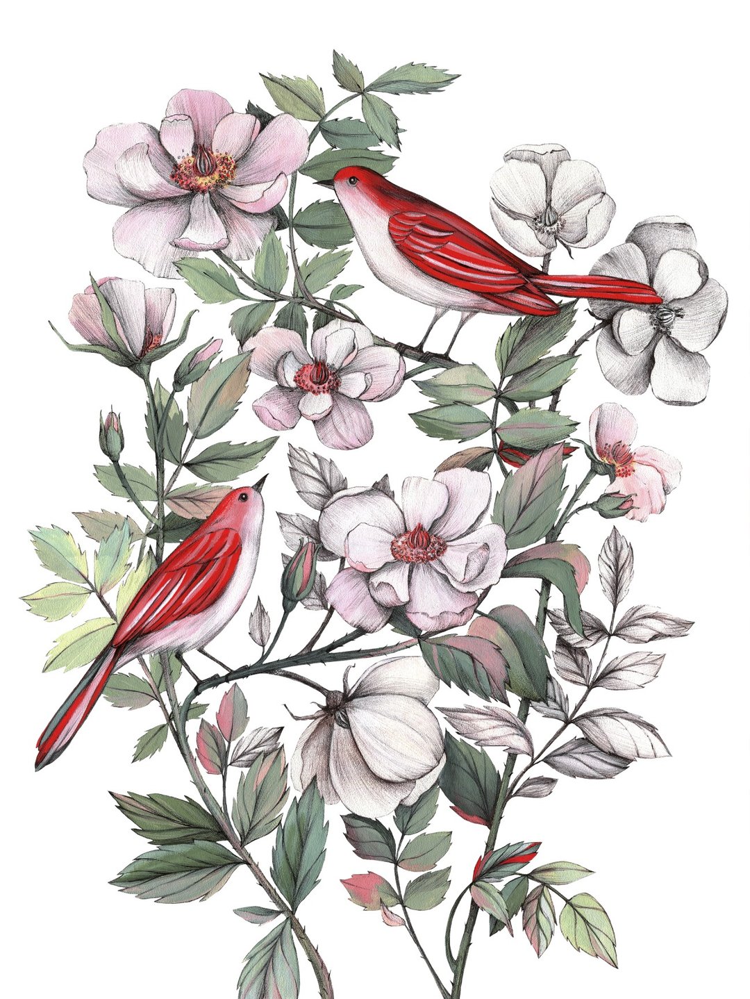 原创水彩画 鸟画 玫瑰艺术 40x30cm 花画 - 插画/绘画/写字 - 纸 绿色